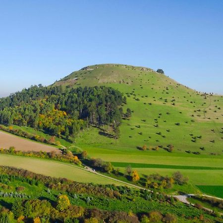 Landgasthof Adler Utzmemmingen Εξωτερικό φωτογραφία