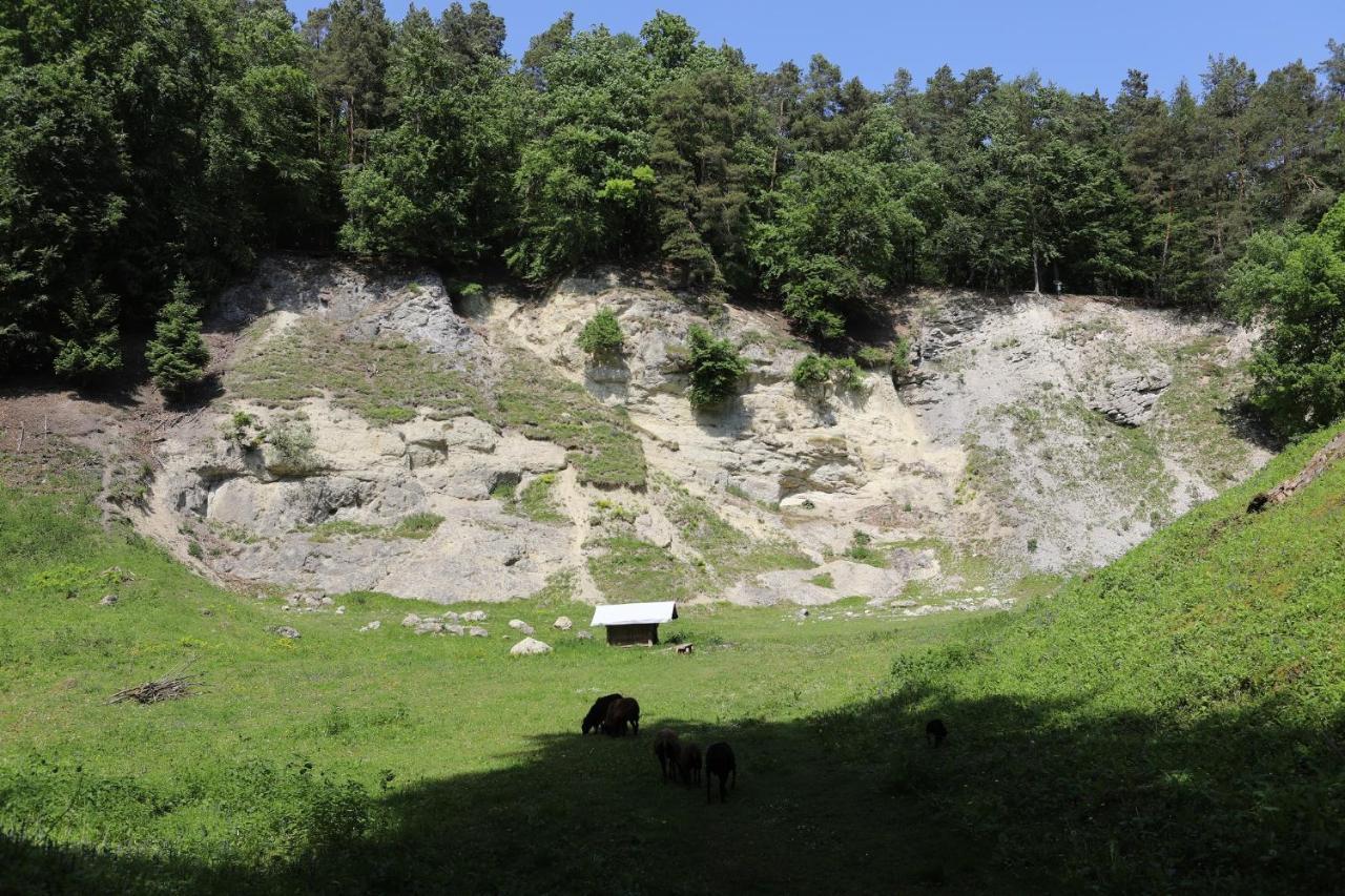 Landgasthof Adler Utzmemmingen Εξωτερικό φωτογραφία